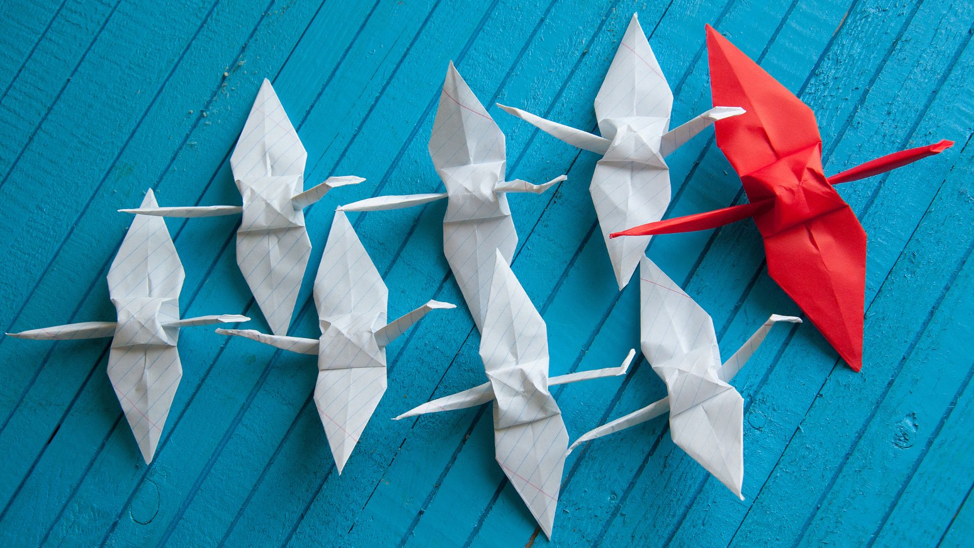 Public Advocacy: Strategi Pelibatan Eksternal dalam Komunikasi Kemenkeu