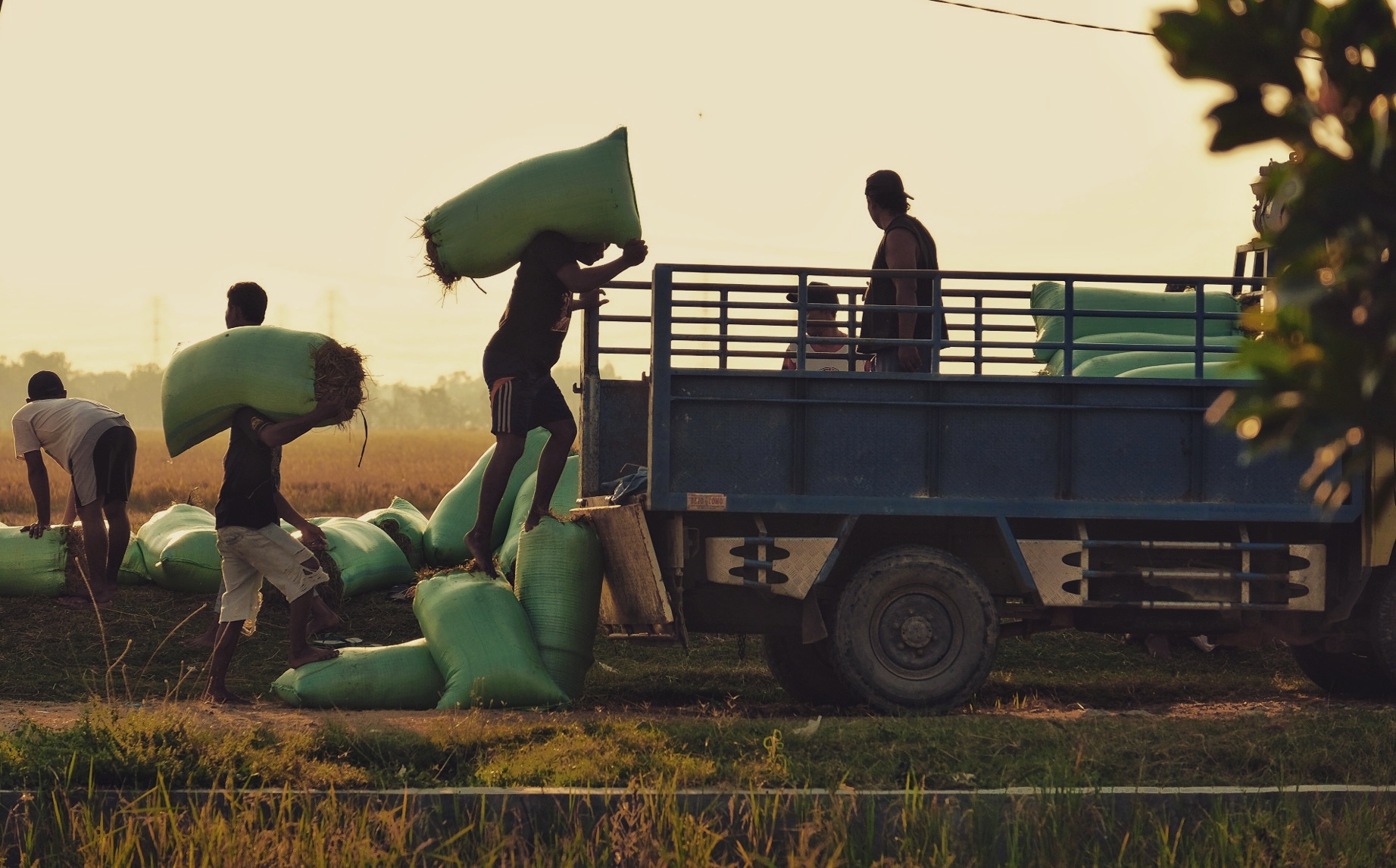 Dampak Covid-19 Terhadap Cash Flow Anggaran Di Daerah