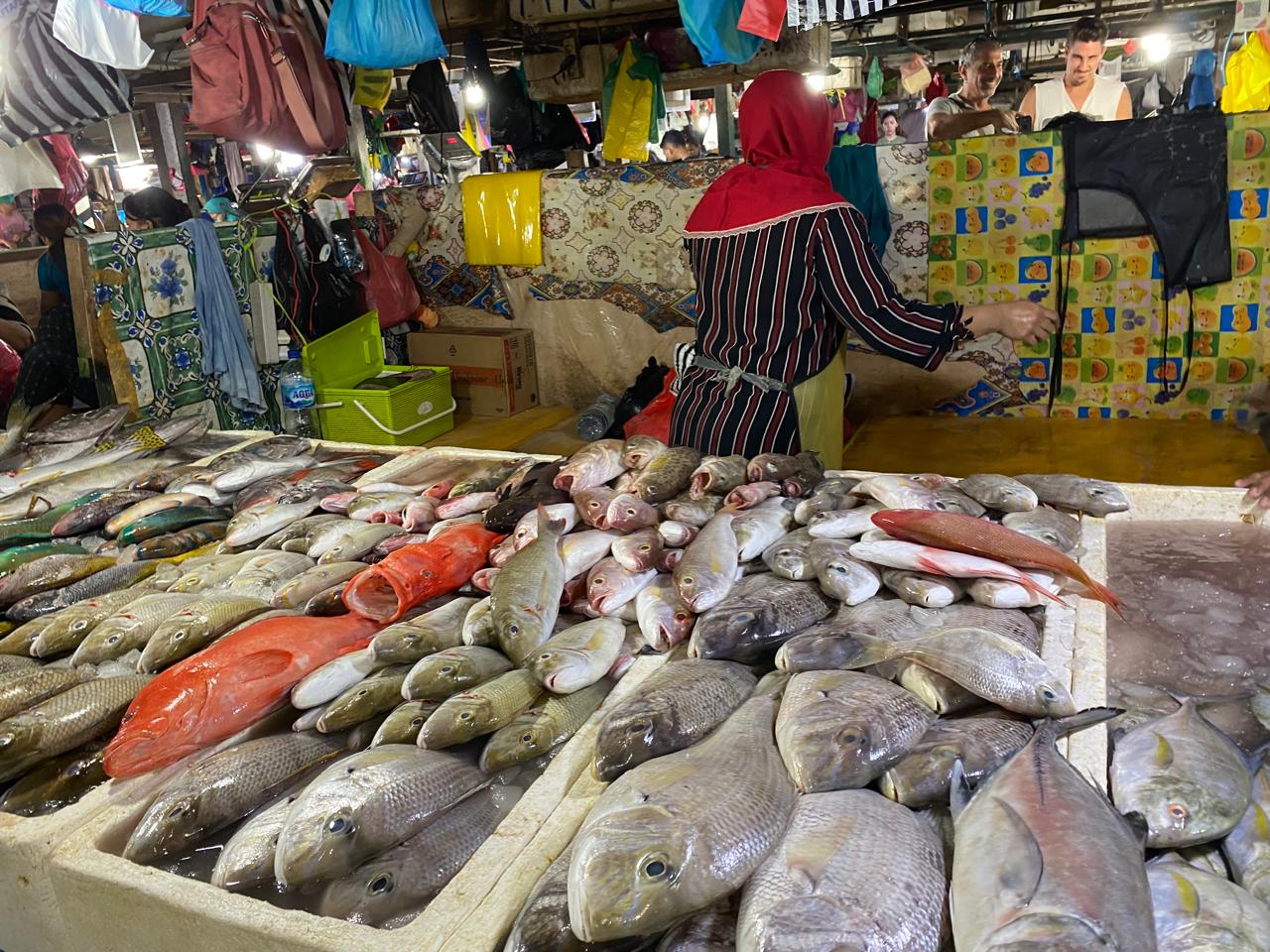 Sikat Krisis! Stimulus Ekonomi 2025 Dirancang Dorong Ekonomi Rakyat