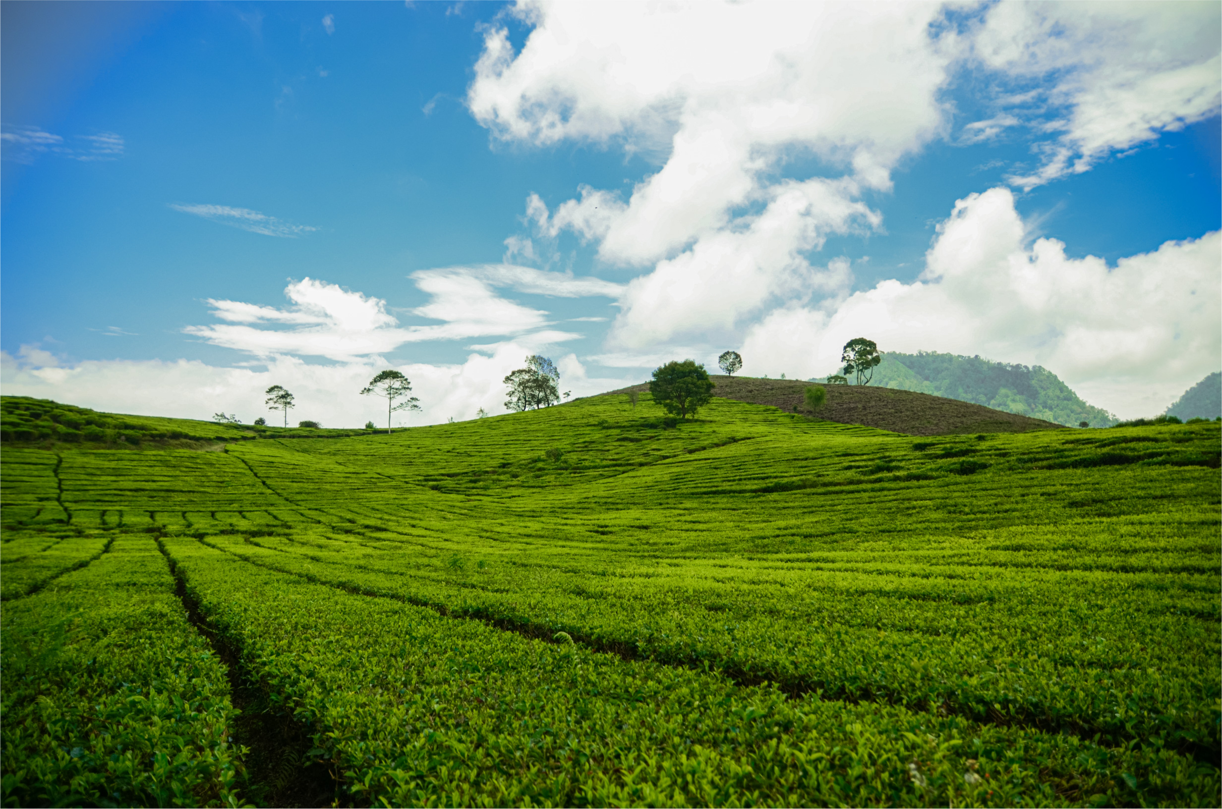 Dana Desa Membangun Negeri